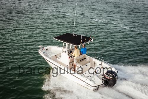 Boston Whaler 210 Dauntless scheda tecnica e recensioni
